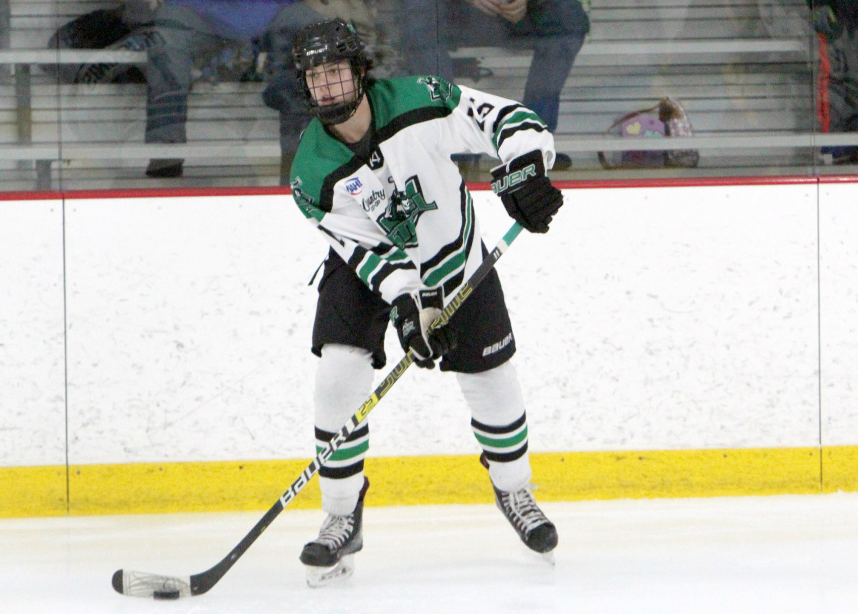 Springfield at Chippewa Steel 11-29-19
